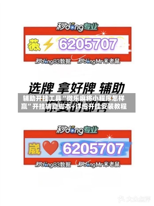 辅助开挂工具“微乐麻将小程序怎样赢”开挂辅助脚本+详细开挂安装教程