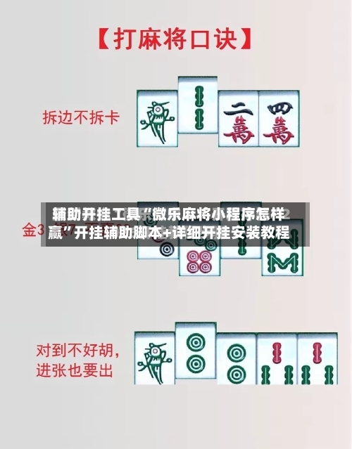 辅助开挂工具“微乐麻将小程序怎样赢”开挂辅助脚本+详细开挂安装教程-第3张图片
