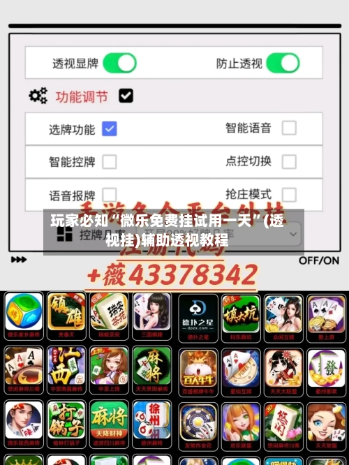 玩家必知“微乐免费挂试用一天”(透视挂)辅助透视教程-第3张图片