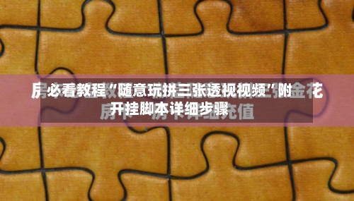 必看教程“随意玩拼三张透视视频”附开挂脚本详细步骤-第2张图片