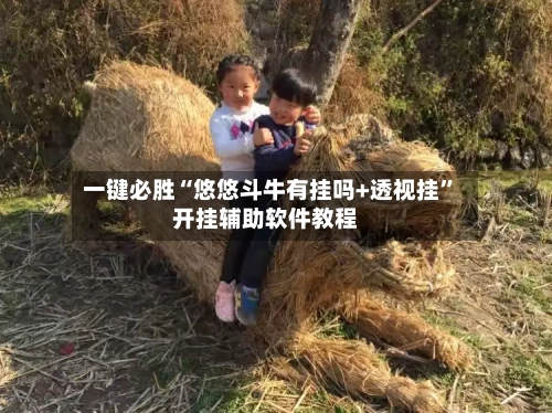一键必胜“悠悠斗牛有挂吗+透视挂”开挂辅助软件教程-第3张图片