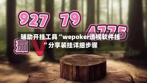 辅助开挂工具“wepoker透视软件挂	”分享装挂详细步骤-第2张图片