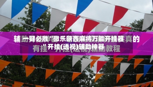 一键必胜“微乐陕西麻将万能开挂器”开挂(透视)辅助神器-第3张图片