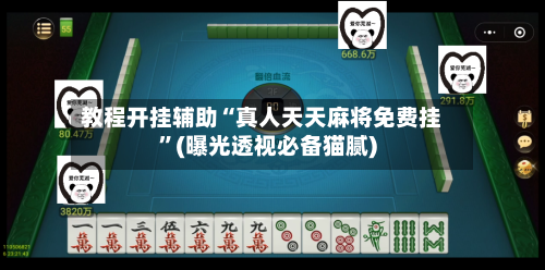 教程开挂辅助“真人天天麻将免费挂”(曝光透视必备猫腻)-第2张图片