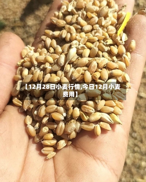 【12月28日小麦行情,今日12月小麦费用】-第2张图片