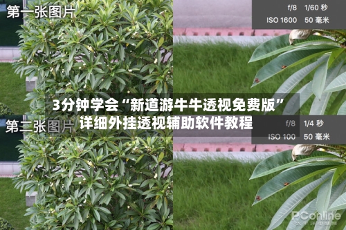 3分钟学会“新道游牛牛透视免费版”详细外挂透视辅助软件教程-第2张图片