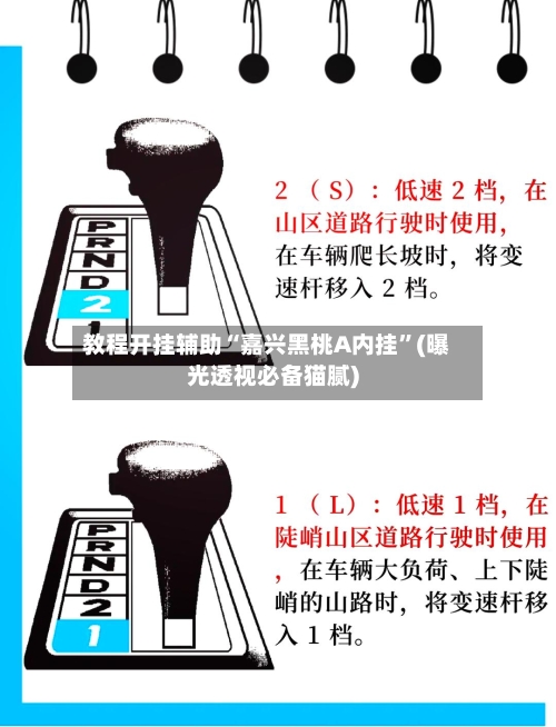 教程开挂辅助“嘉兴黑桃A内挂	”(曝光透视必备猫腻)-第2张图片