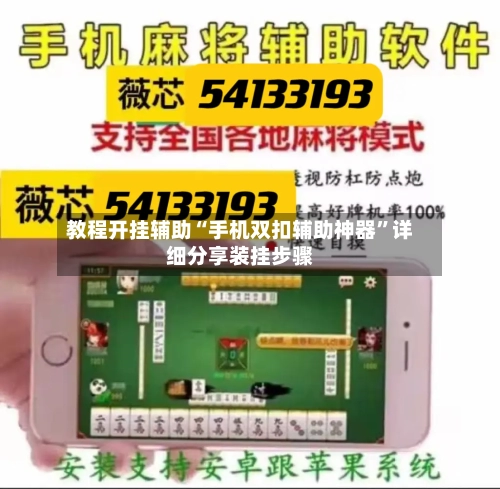 教程开挂辅助“手机双扣辅助神器	”详细分享装挂步骤-第2张图片