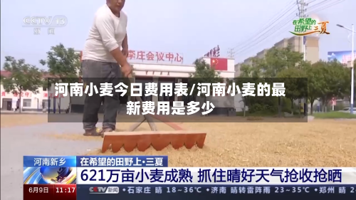 河南小麦今日费用表/河南小麦的最新费用是多少