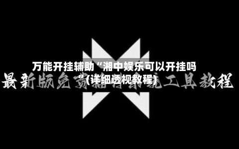 万能开挂辅助“湘中娱乐可以开挂吗	”(详细透视教程)-第2张图片