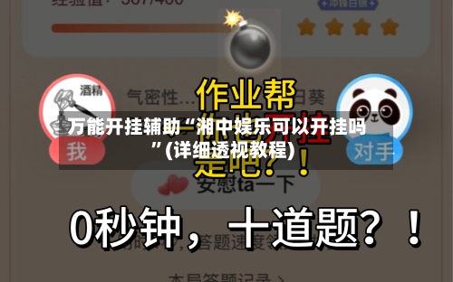 万能开挂辅助“湘中娱乐可以开挂吗”(详细透视教程)-第3张图片