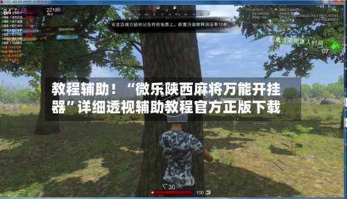 教程辅助！“微乐陕西麻将万能开挂器”详细透视辅助教程官方正版下载