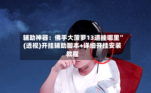 辅助神器：佛手大菠萝13道挂哪里”(透视)开挂辅助脚本+详细开挂安装教程-第3张图片