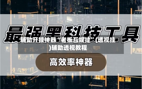 辅助开挂神器“老板互娱挂”(透视挂)辅助透视教程-第3张图片