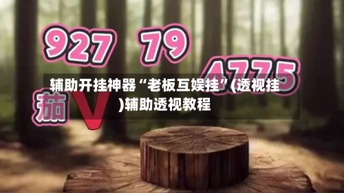 辅助开挂神器“老板互娱挂	”(透视挂)辅助透视教程-第2张图片