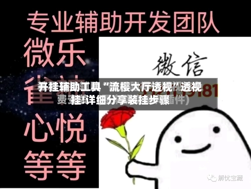 开挂辅助工具“流樱大厅透视”透视挂!详细分享装挂步骤-第2张图片