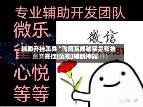 辅助开挂工具“飞鹰互娱确实是有挂”开挂(透视)辅助神器-第2张图片