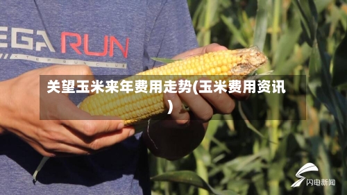 关望玉米来年费用走势(玉米费用资讯)-第2张图片