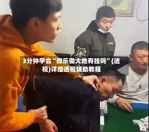 3分钟学会“微乐锄大地有挂吗”(透视)详细透视辅助教程