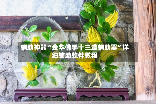 辅助神器“金华佛手十三道辅助器”详细辅助软件教程