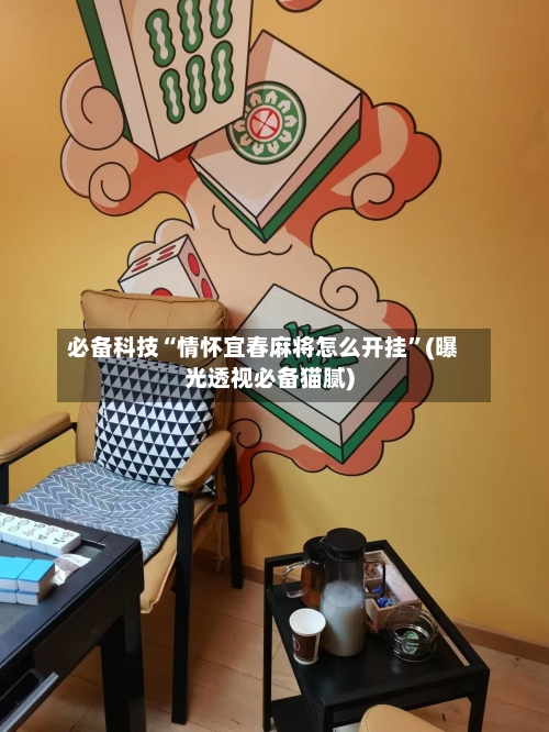 必备科技“情怀宜春麻将怎么开挂”(曝光透视必备猫腻)-第2张图片