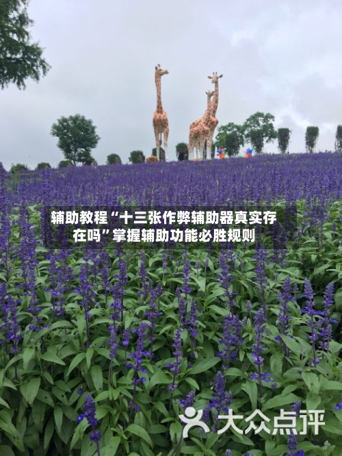 辅助教程“十三张作弊辅助器真实存在吗”掌握辅助功能必胜规则-第2张图片
