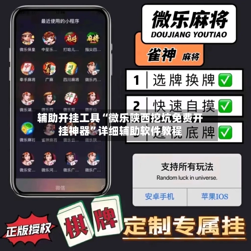 辅助开挂工具“微乐陕西挖坑免费开挂神器”详细辅助软件教程-第2张图片