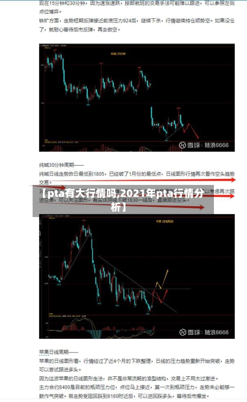 【pta有大行情吗,2021年pta行情分析】-第3张图片