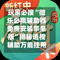 玩家必搜“微乐必赢辅助器免费安装苹果版”揭秘透视辅助万能挂用法-第2张图片