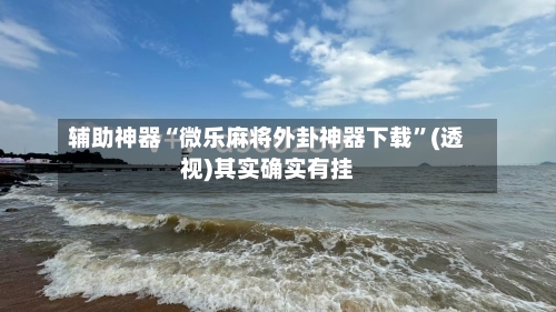 辅助神器“微乐麻将外卦神器下载”(透视)其实确实有挂-第3张图片
