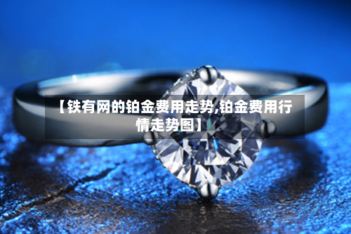 【铁有网的铂金费用走势,铂金费用行情走势图】
