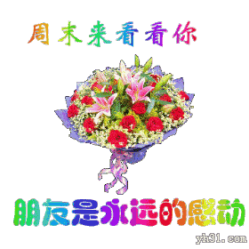 羟乙基二异丙醇胺商品报价动态（2026-05-02）