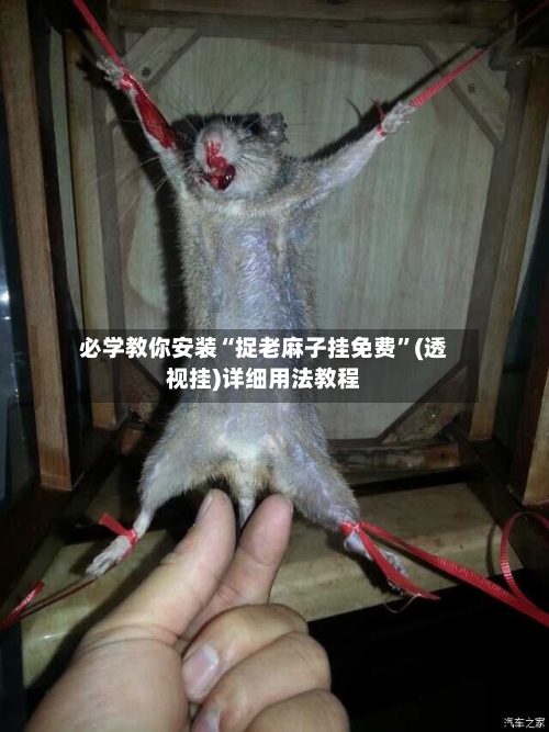 必学教你安装“捉老麻子挂免费”(透视挂)详细用法教程