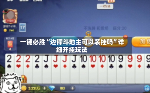 一键必胜“边锋斗地主可以装挂吗	”详细开挂玩法-第2张图片