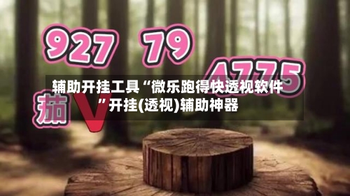 辅助开挂工具“微乐跑得快透视软件”开挂(透视)辅助神器-第2张图片