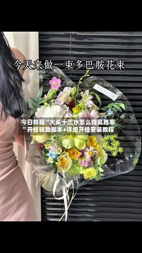 今日教程“大头十三水怎么提高胜率	”开挂辅助脚本+详细开挂安装教程-第3张图片