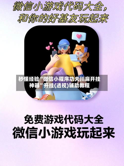 秒懂经验“微信小程序功夫川麻开挂神器	”开挂(透视)辅助教程-第3张图片
