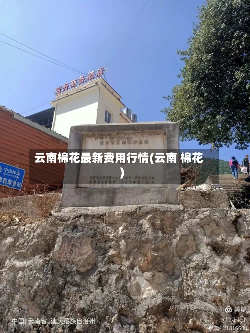 云南棉花最新费用行情(云南 棉花)