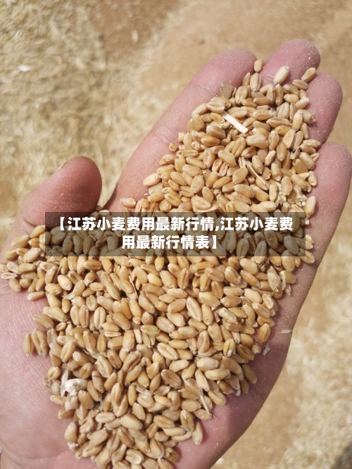 【江苏小麦费用最新行情,江苏小麦费用最新行情表】-第3张图片