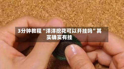 3分钟教程“洋洋挖花可以开挂吗	”其实确实有挂-第2张图片
