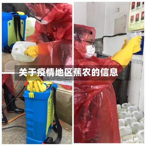 关于疫情地区蕉农的信息-第2张图片