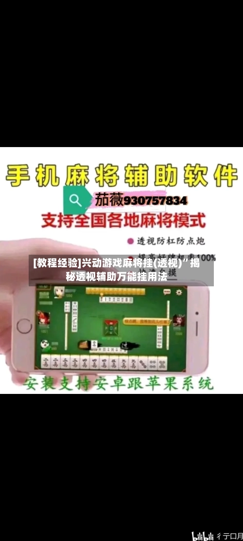 [教程经验]兴动游戏麻将挂(透视)”揭秘透视辅助万能挂用法