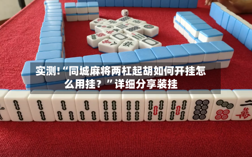 实测!“同城麻将两杠起胡如何开挂怎么用挂？	”详细分享装挂-第2张图片