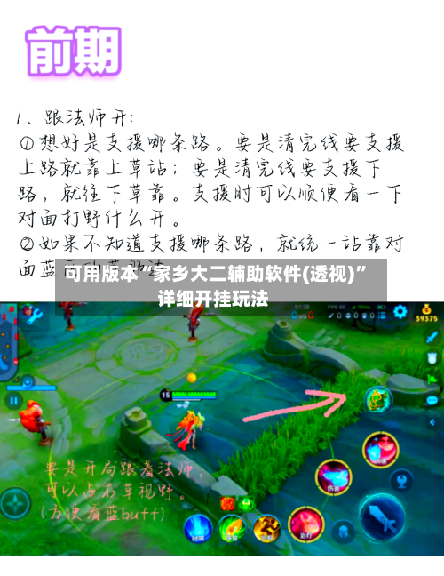 可用版本“家乡大二辅助软件(透视)”详细开挂玩法-第3张图片