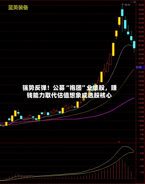强势反弹！公募“抱团”业绩股，赚钱能力取代估值想象成选股核心-第3张图片