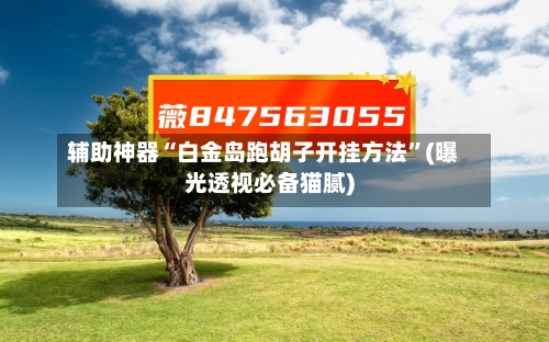 辅助神器“白金岛跑胡子开挂方法	”(曝光透视必备猫腻)-第2张图片