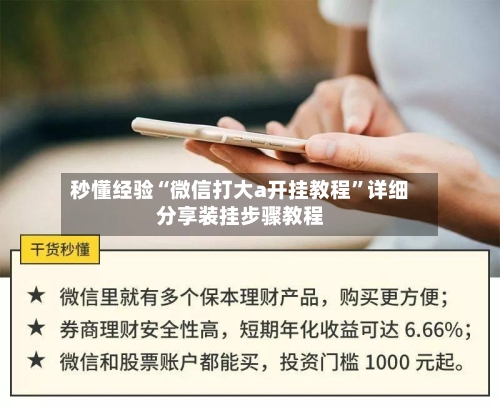 秒懂经验“微信打大a开挂教程	”详细分享装挂步骤教程-第2张图片