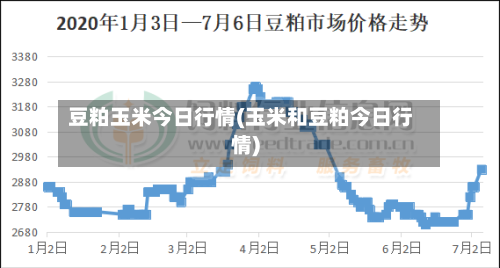 豆粕玉米今日行情(玉米和豆粕今日行情)