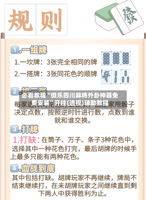 必看教程“微乐四川麻将外卦神器免费安装	”开挂(透视)辅助教程-第2张图片