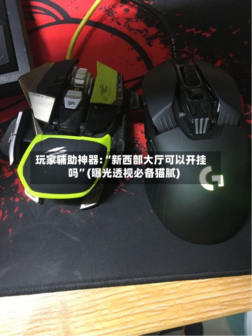 玩家辅助神器:“新西部大厅可以开挂吗”(曝光透视必备猫腻)-第2张图片